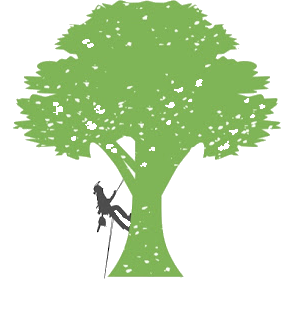 denistreefellinglogo